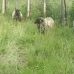 Lpc Naturiste - Adult Only Naturist *