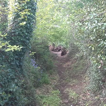 La Petite Cretouffiere - Naturiste - Adult Only Frühstückspension