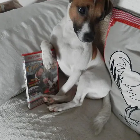 La Petite Cretouffiere - Naturiste - Adult Only *