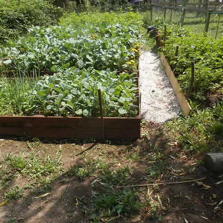 Couette-café La Petite Cretouffiere - Naturiste - Adult Only Colombiers-du-Plessis