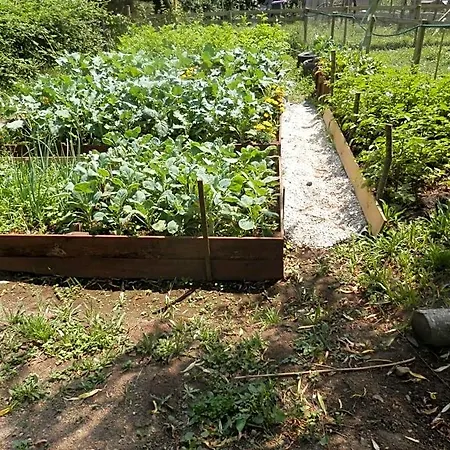 Lpc Naturiste - Adult Only Naturist Bed & Breakfast *