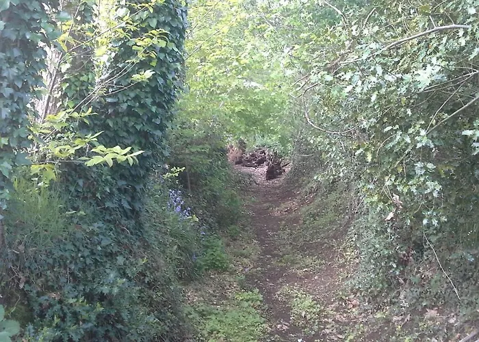 Lpc Naturiste - Adult Only Naturist B&B