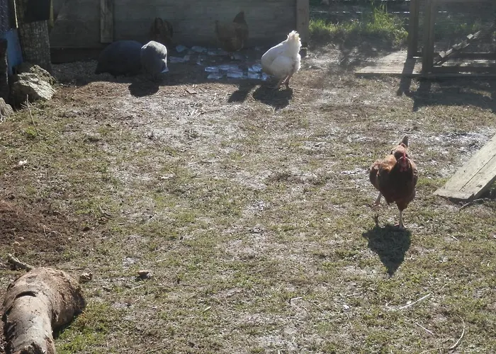 La Petite Cretouffiere - Naturiste - Adult Only Bed & Breakfast Colombiers-du-Plessis