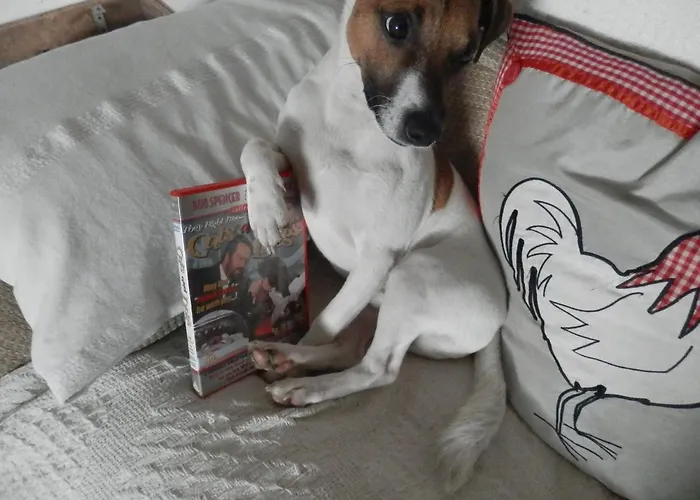 La Petite Cretouffiere - Naturiste - Adult Only *