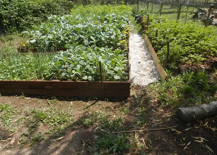 B&B Lpc Naturiste - Adult Only Naturist Colombiers-du-Plessis