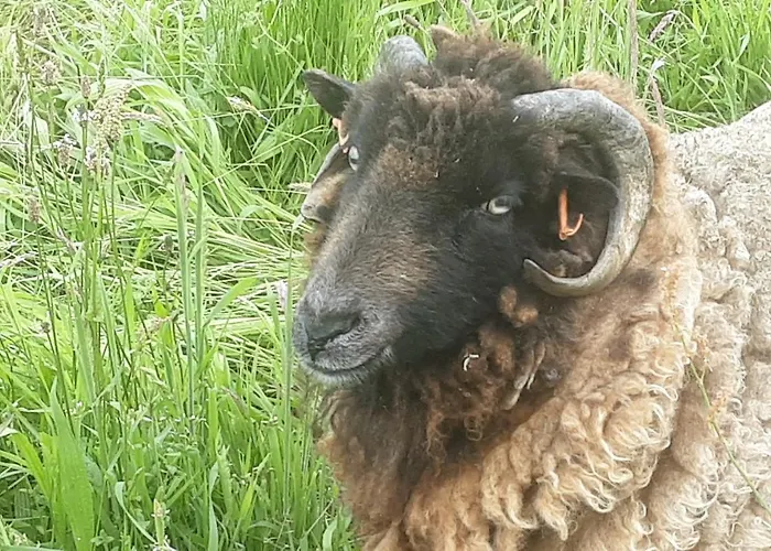 Lpc Naturiste - Adult Only Naturist B&B Colombiers-du-Plessis