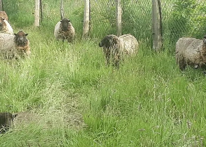 Lpc Naturiste - Adult Only Naturist *